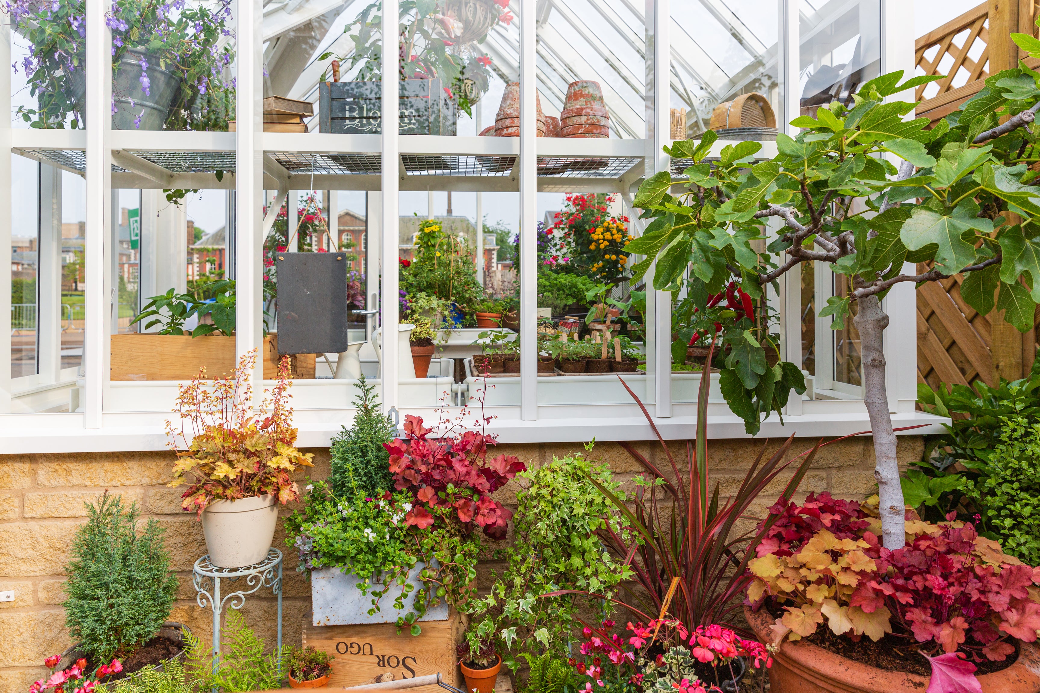 Get your greenhouse ready for winter (Griffin Glasshouses/PA)