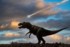 The dinosaur-ending meteorite did much more to our planet