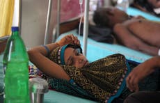 Dozens dead as India’s most populous state suffers worst dengue outbreak in years amid pandemic