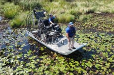 Human remains found inside alligator suspected of Hurricane Ida attack