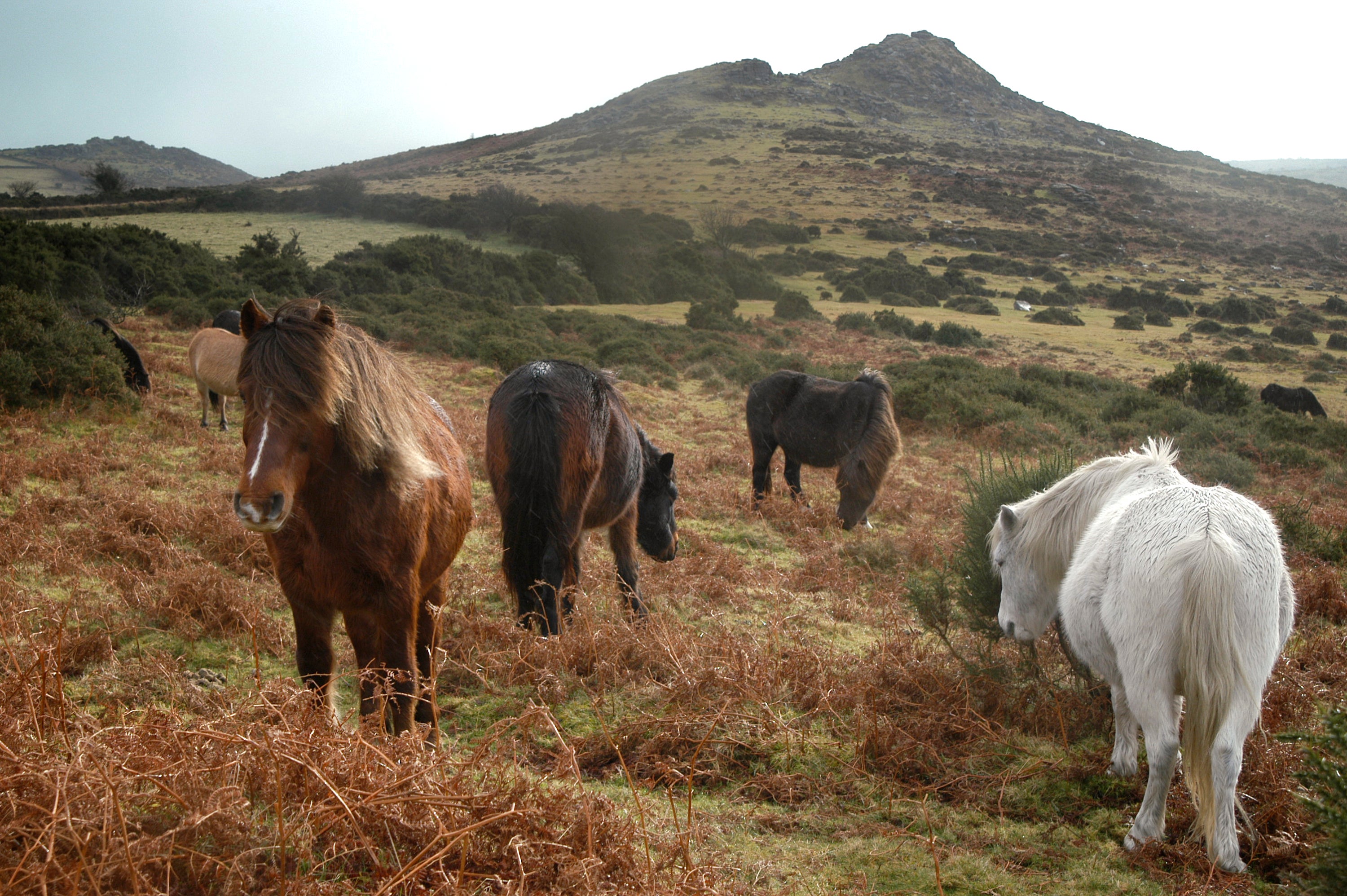 The duchy owns a third of Dartmoor