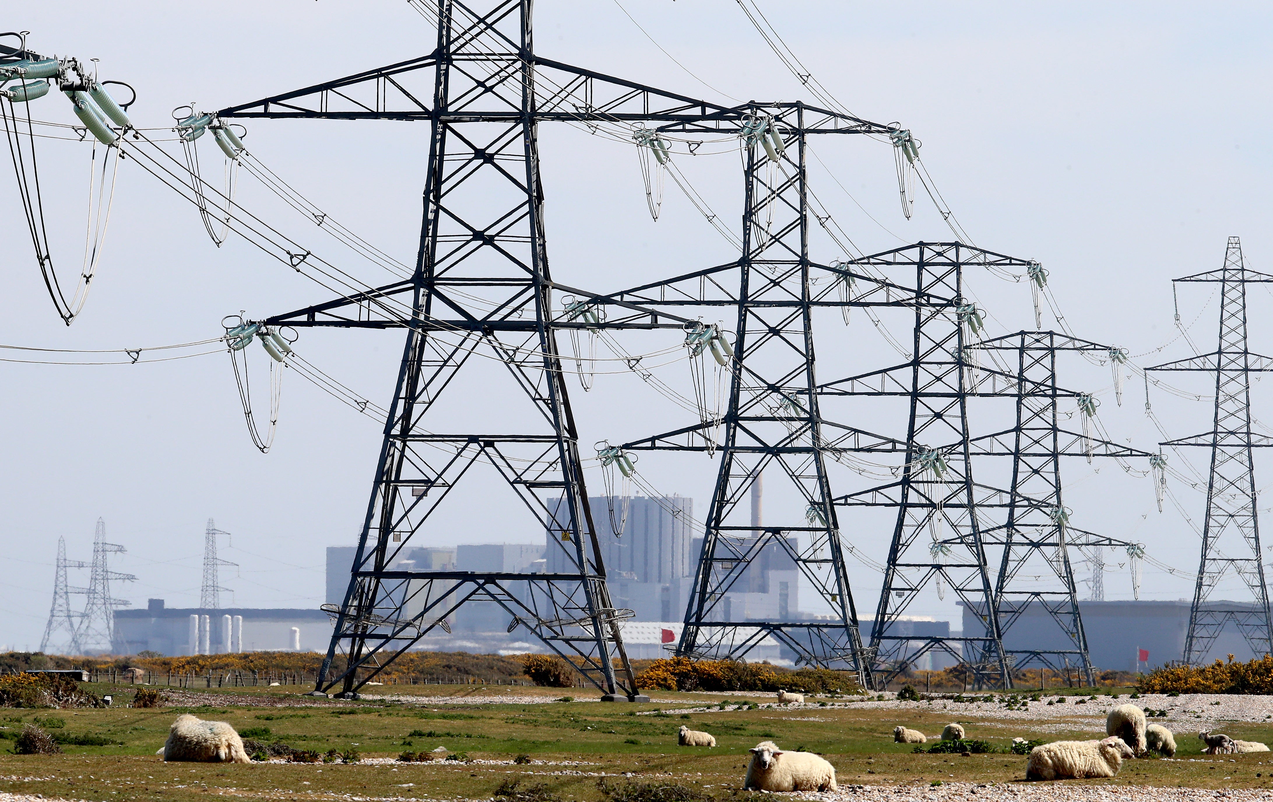 A fire has knocked out a power cable, sending prices up (Gareth Fuller/PA)