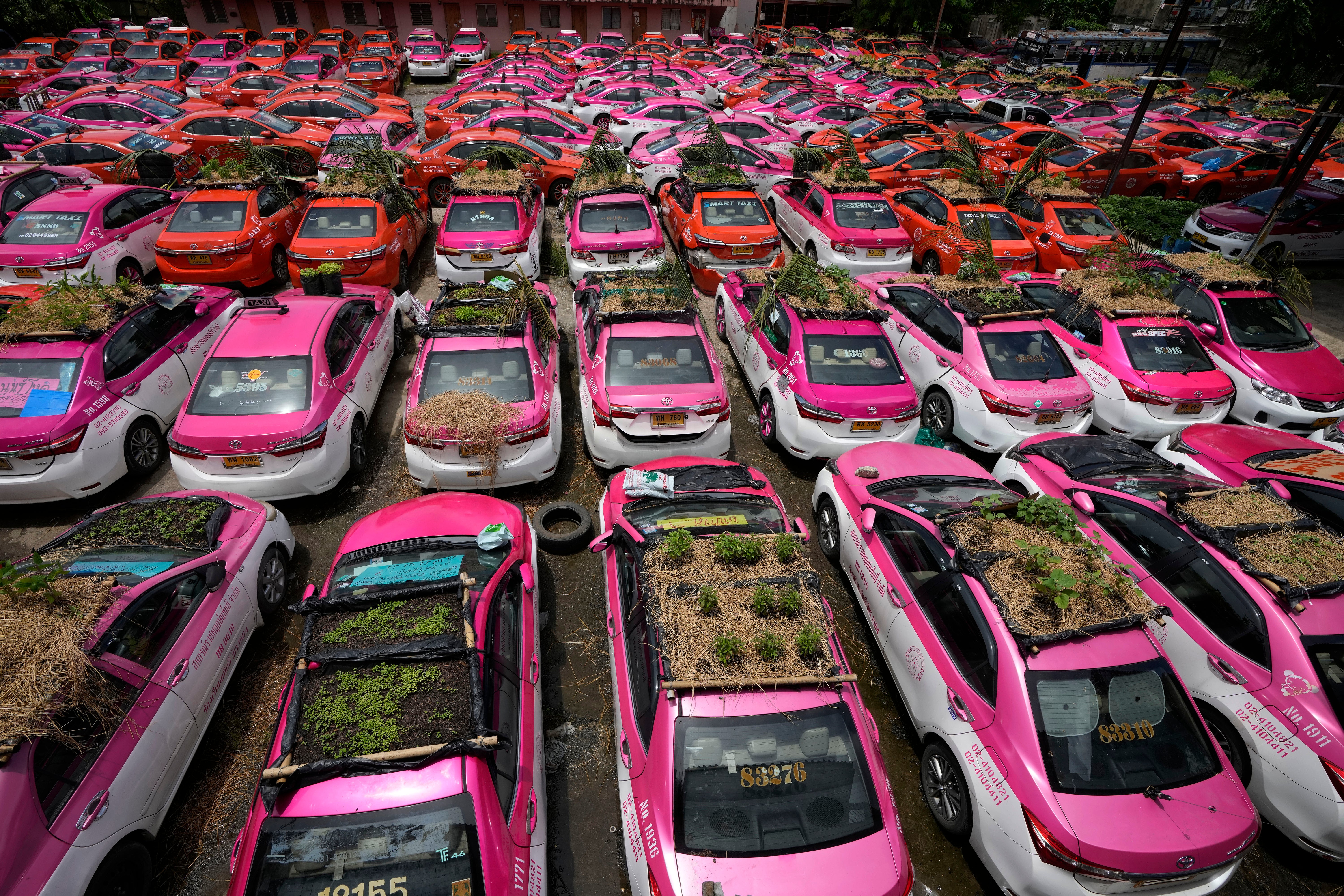 APTOPIX Thailand Taxi Gardens