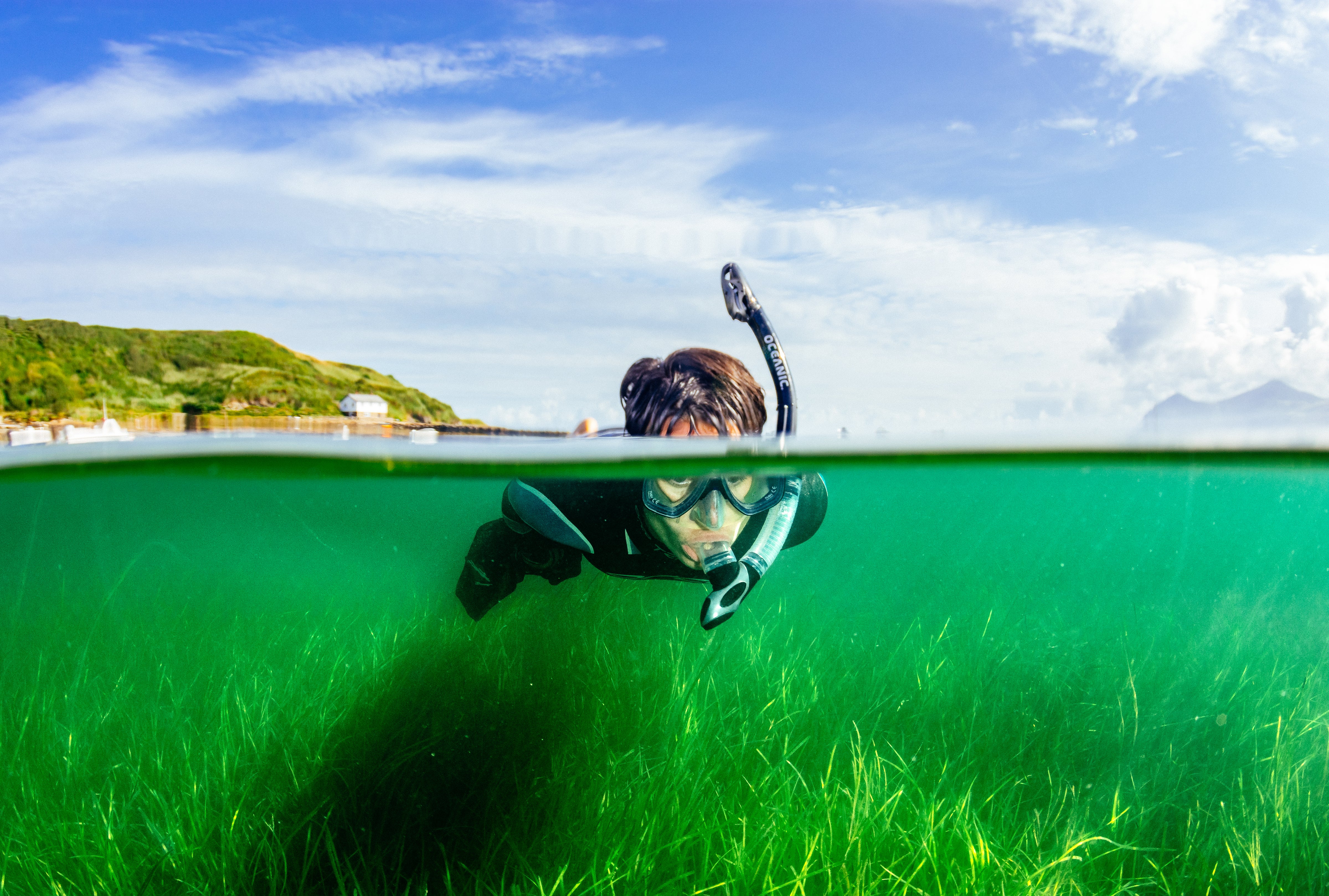 Snorkelers from Project Seagrass volunteer to collect seagrass seeds from the seabed in Porthdinllaen, Wales. The project, led by Sky Ocean Rescue, WWF and Swansea University, is the biggest seagrass restoration project ever undertaken in the UK