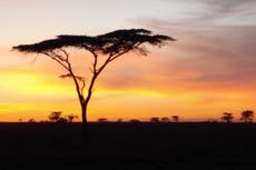 Travel industry relief mixed with fury after government eases rules