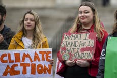 Two thirds of businesses have no plan for sustainability