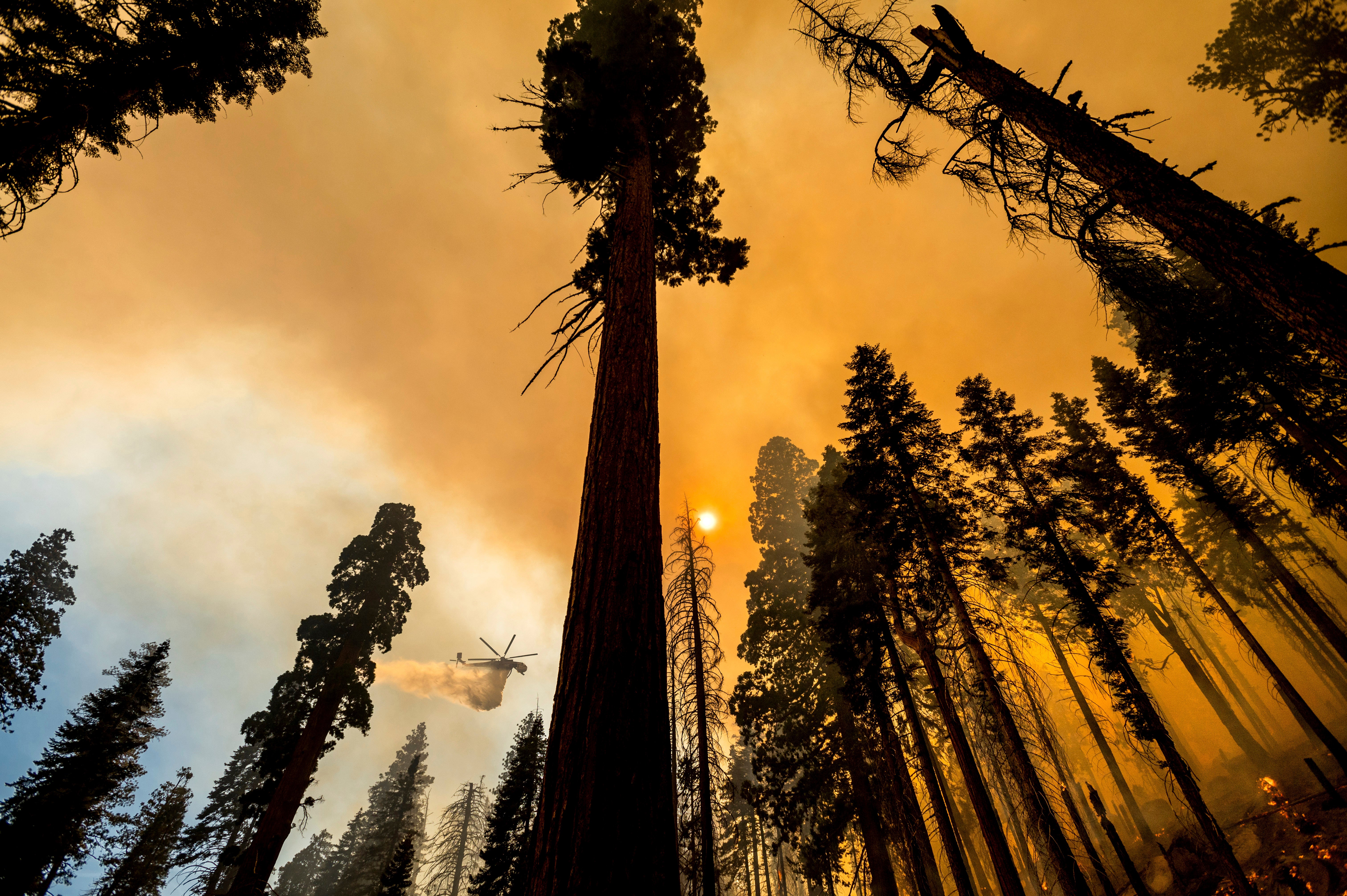 APTOPIX Western Wildfires