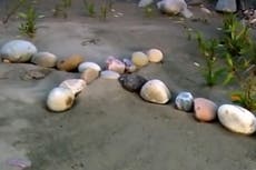 Gabby Petito news - live: Cross marks remains site as Laundrie lawyer cancels press conference around autopsy