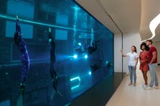 Into the blue: what it’s like to plunge into Deep Dive Dubai, the world’s deepest swimming pool