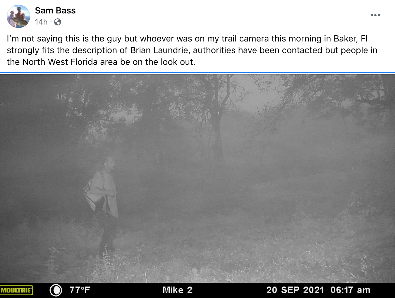 Authorities are looking in to a potential sighting of Brian Laundrie on a deer cam