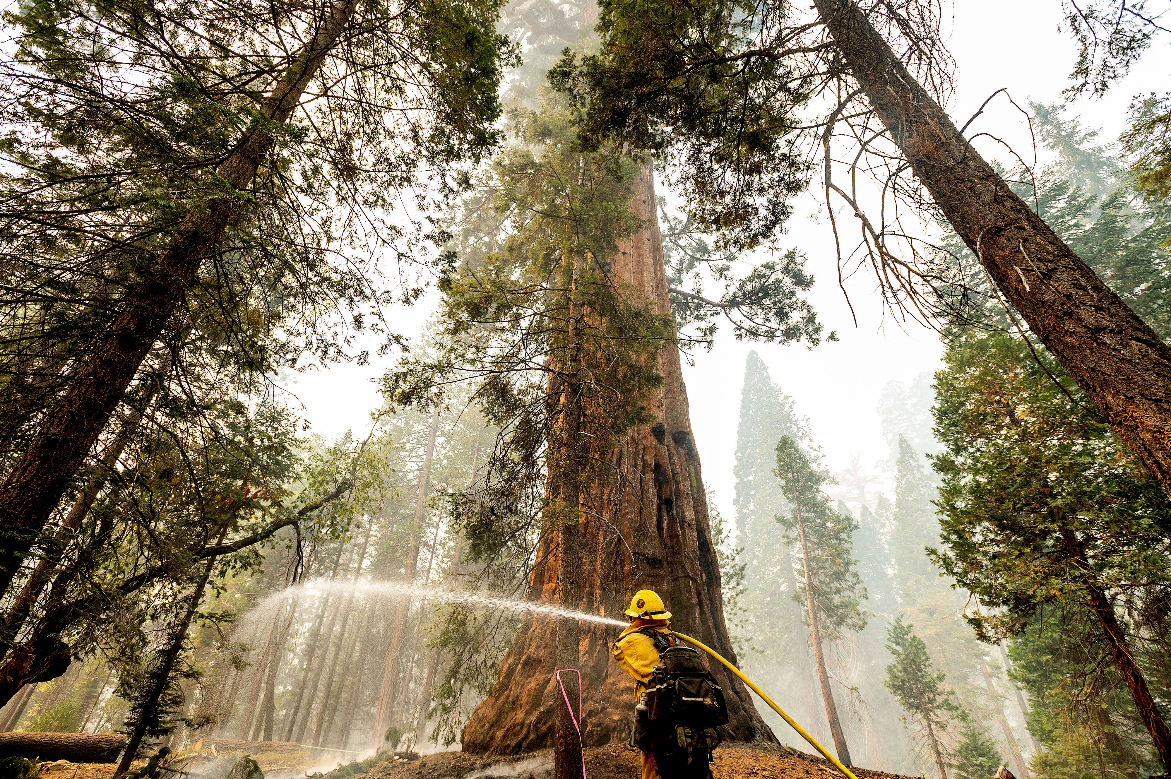 Western Wildfires