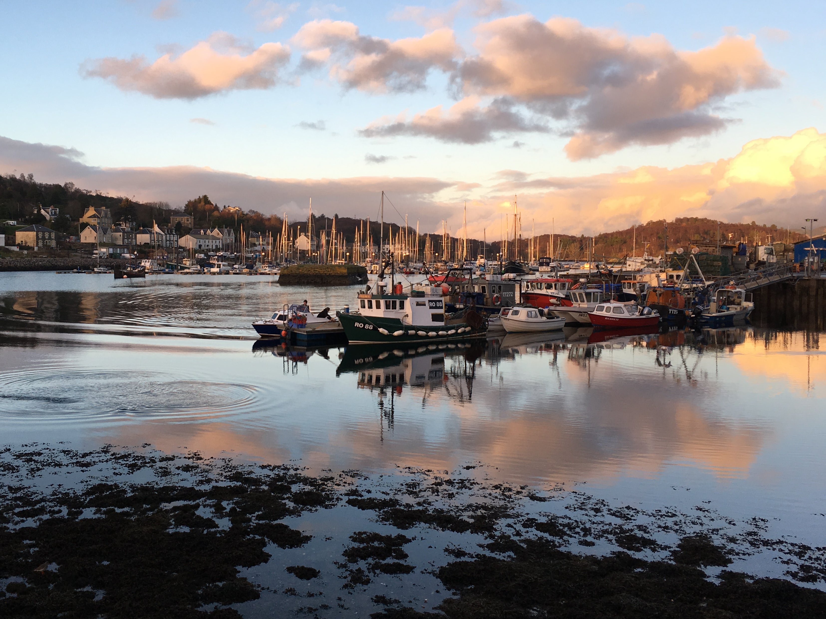 Sundowner: Tarbert in Argyll & Bute, southwest Scotland