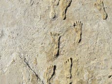 Fossil footprints show humans in North America 11,000 years earlier than previously thought