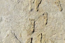 Fossil footprints show humans in North America 11,000 years earlier than previously thought