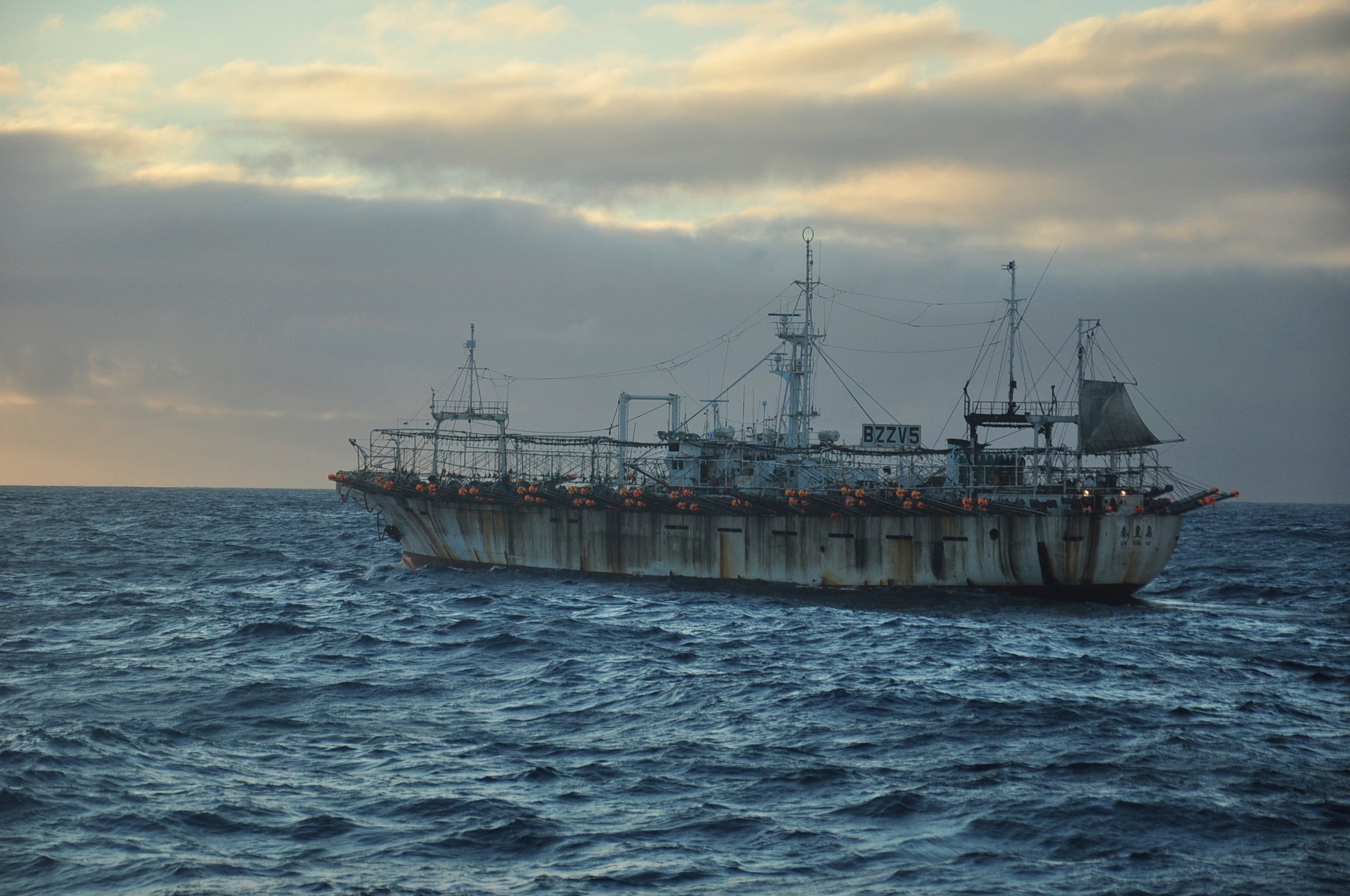 Chinese Fishing Factories