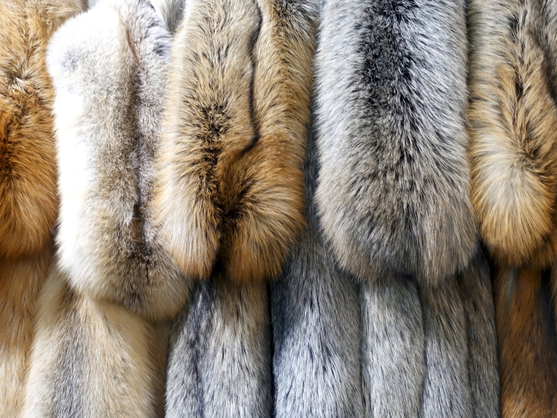 A selection of furs