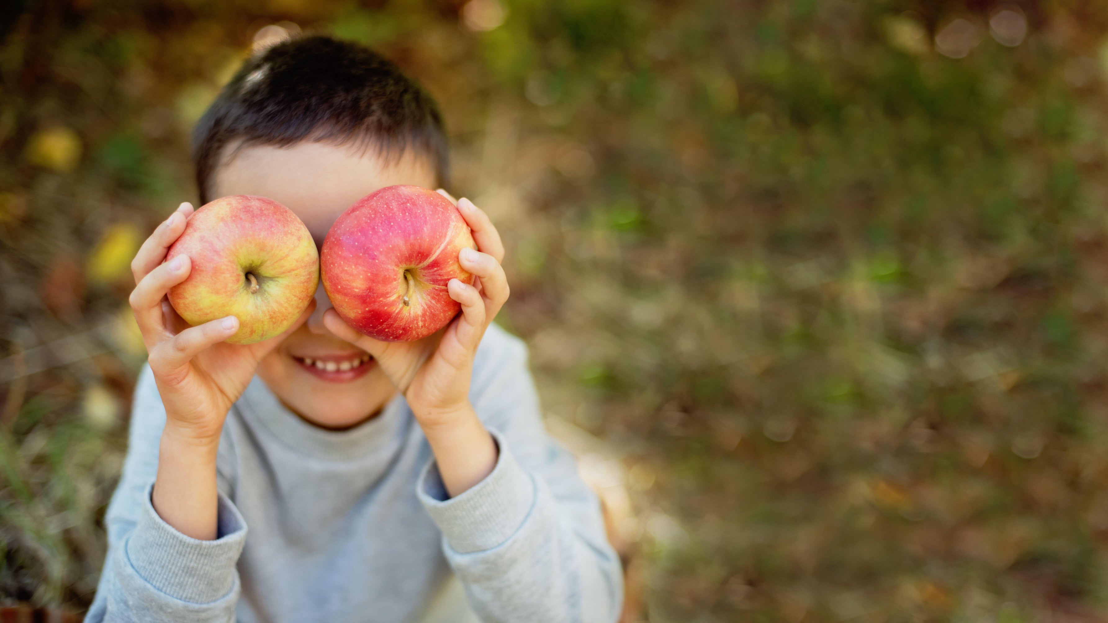 A child holding apples in autumn (Alamy/PA)