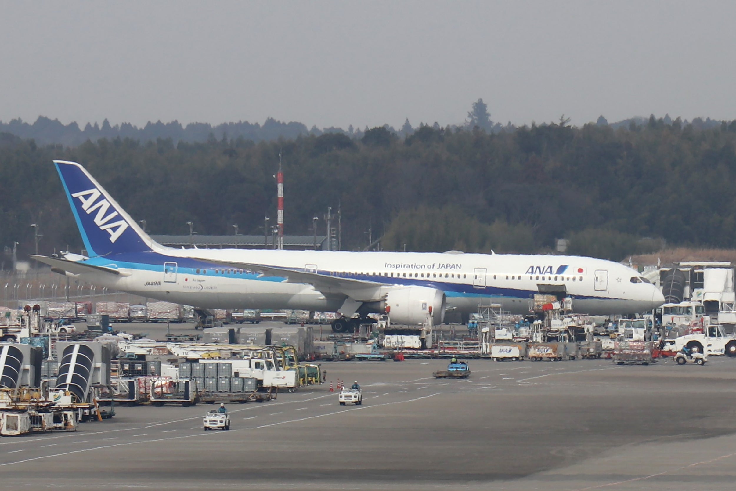 File image: Among the delayed flights, was a sea-turtle themed ANA flight