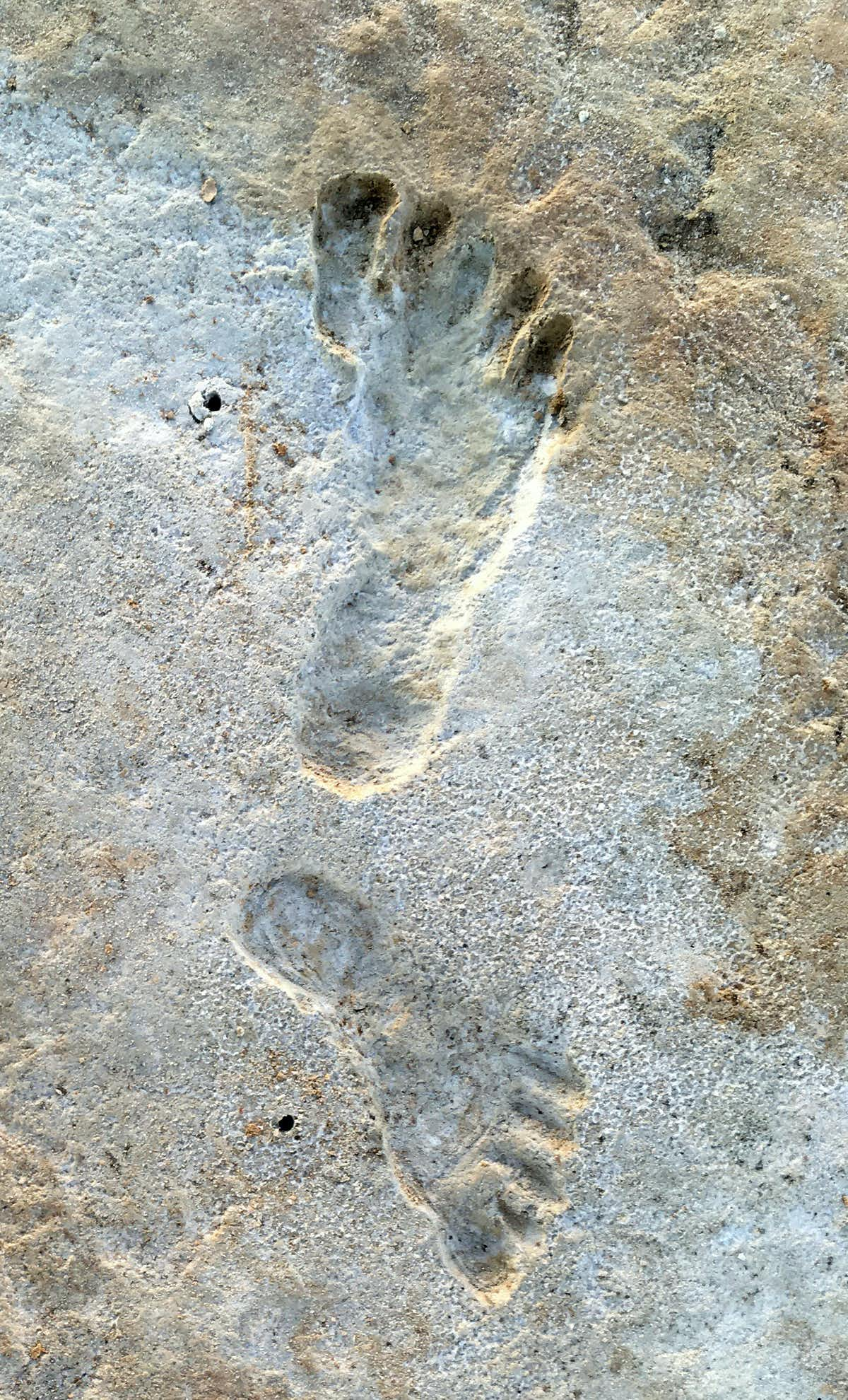 The footprints were made by a group of teenagers, children and the occasional adult