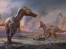 Two new killer dinosaurs unearthed on Isle of Wight