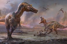 Two new killer dinosaurs unearthed on Isle of Wight