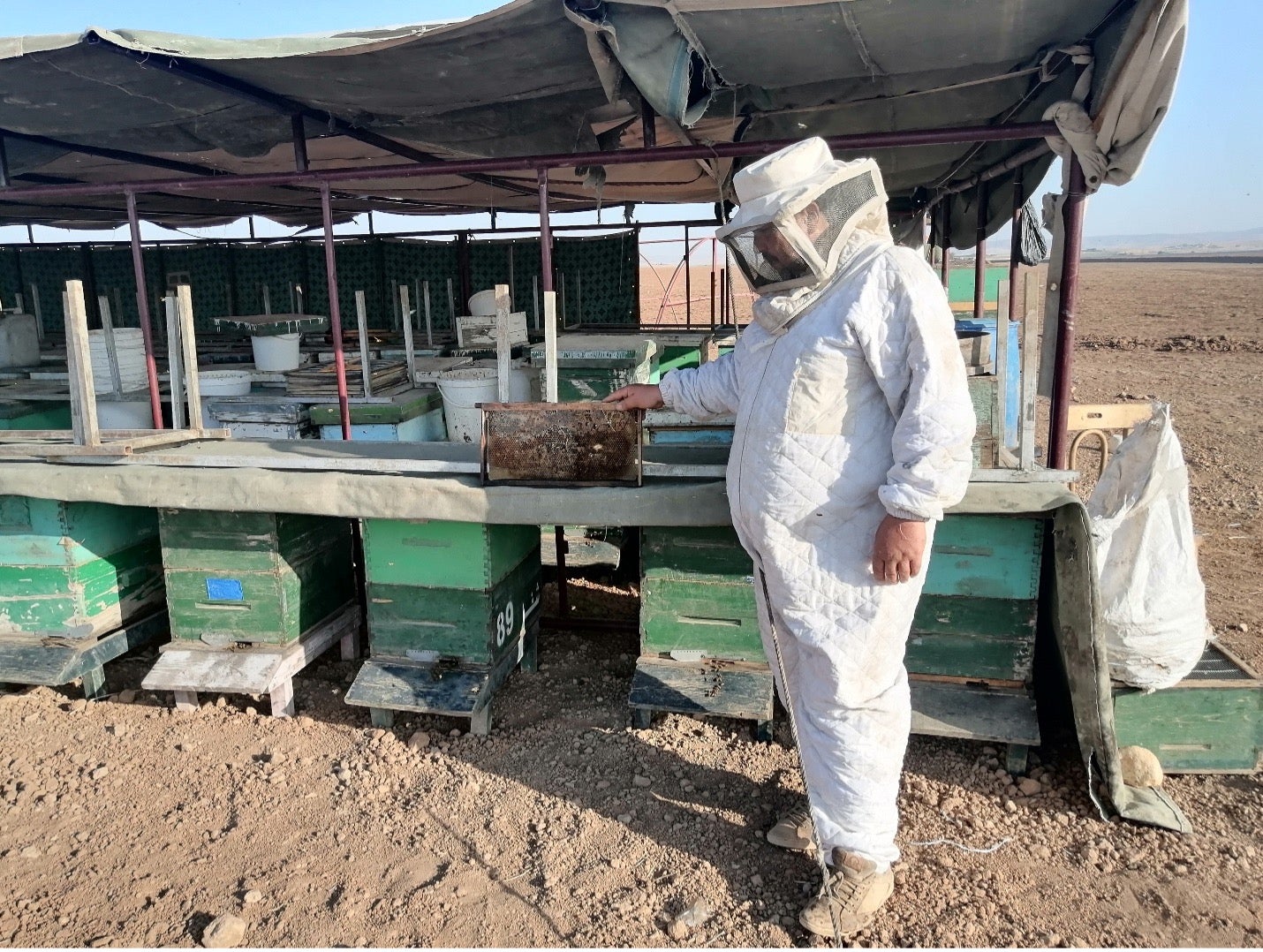 Environmental expert Anas Alqasem with his remaining bee boxes at a barren field in Qamishli