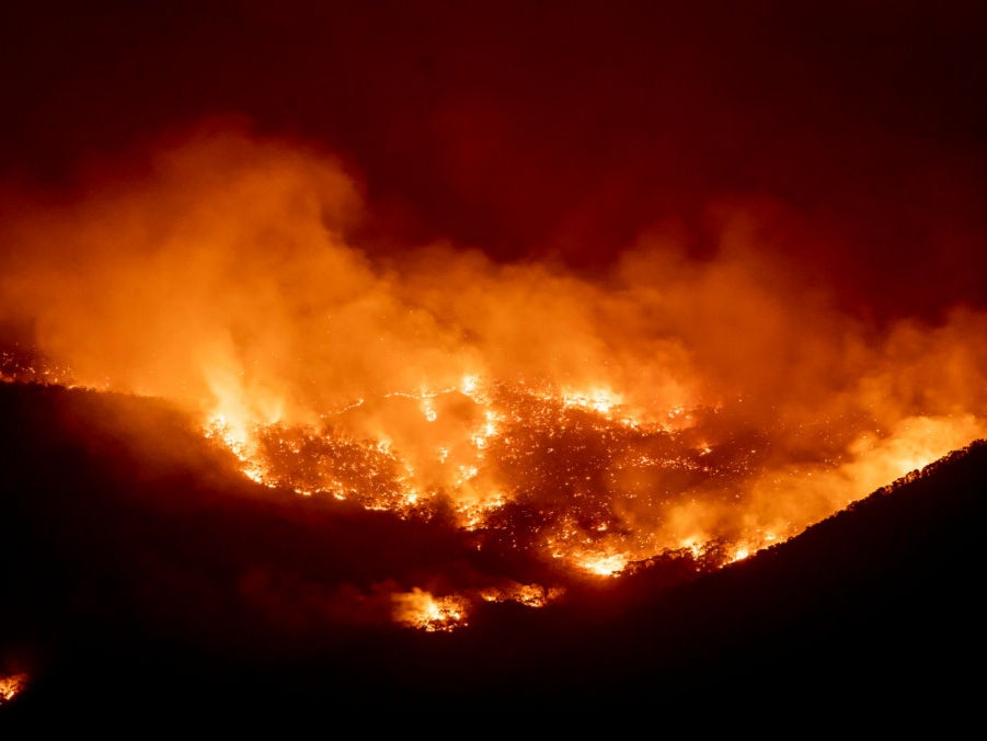 Fire burns within sight of the suburban fringe of the city of Canberra on January 31, 2020