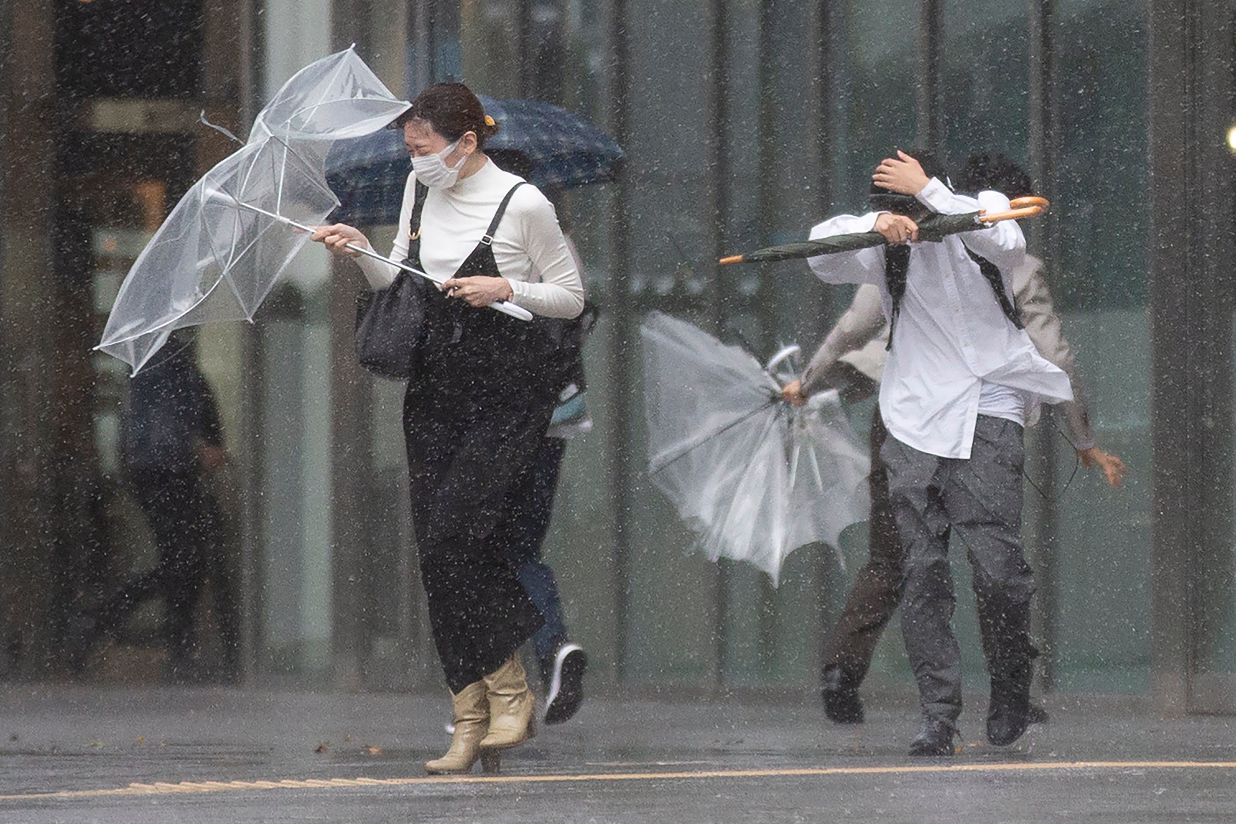 Japan Asia Storm