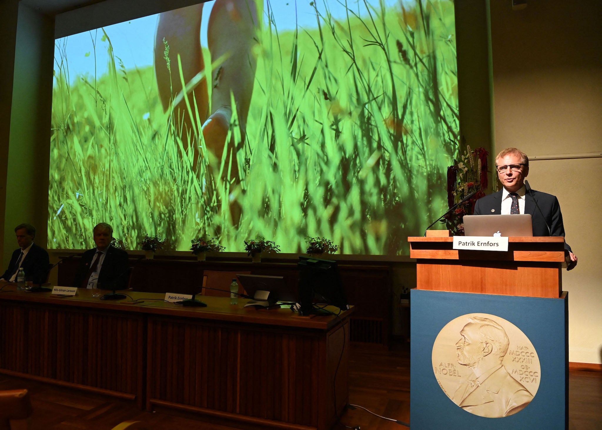 Committee member Patrik Ernfors explains the research field of the winners of the Nobel Prize in Physiology or Medicine, David Julius and Ardem Patapoutian