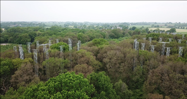 Research plots in the Free Air CO2 Enrichment (FACE) facility located in a Staffordshire forest