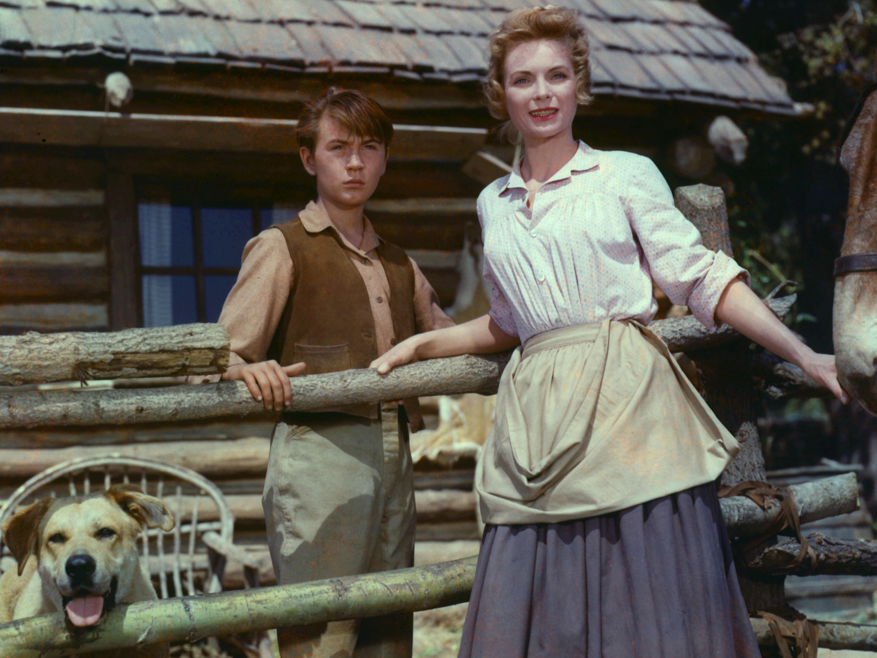 Alongside Dorothy McGuire in ‘Old Yeller’