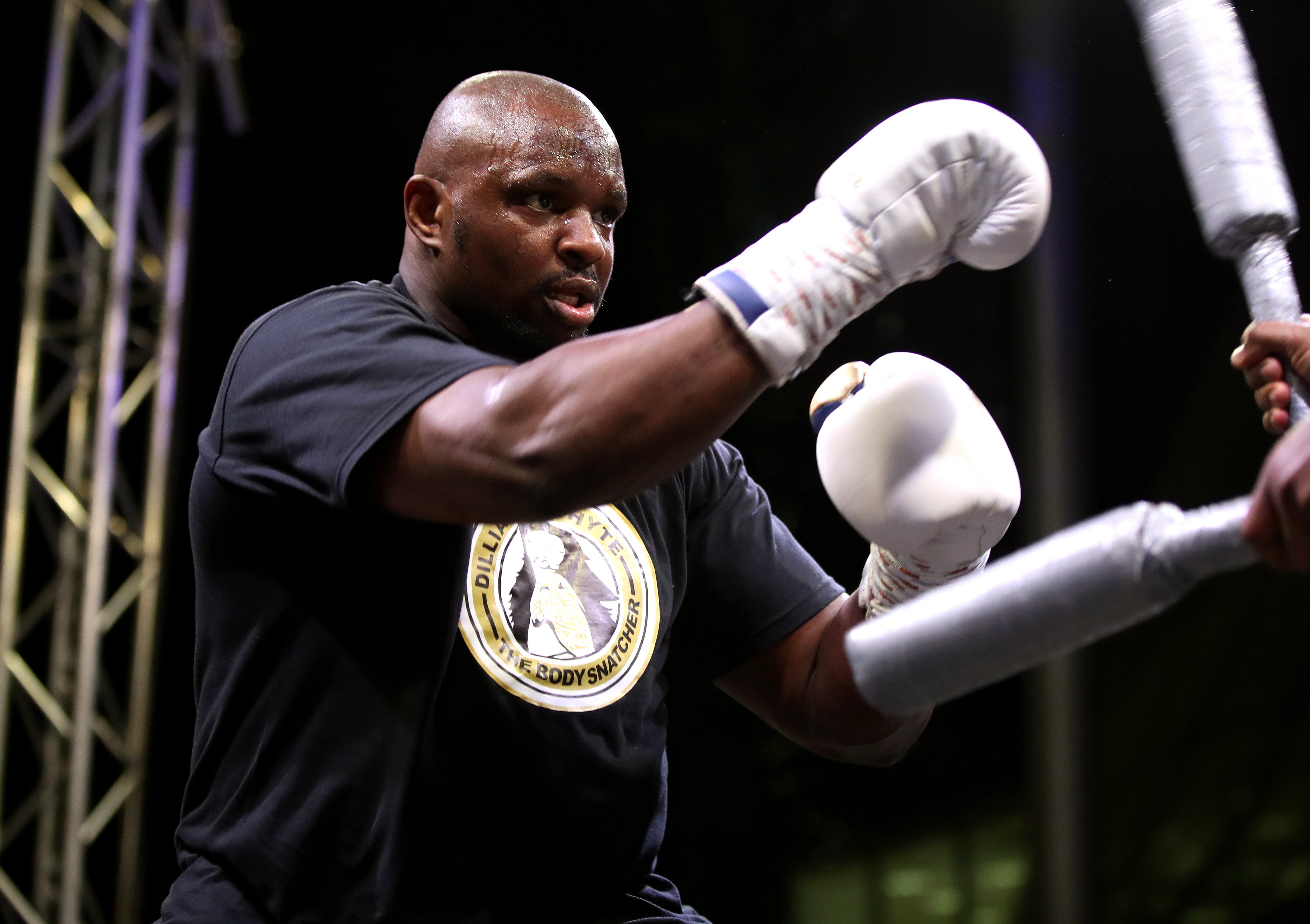 Dillian Whyte, pictured, takes on Otto Wallin on October 30 (Nick Potts/PA)