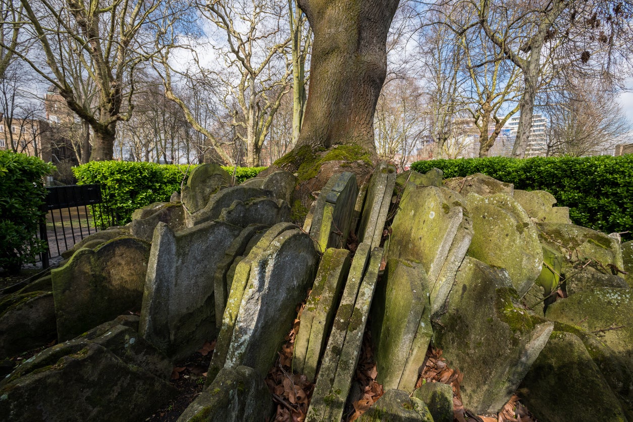 The Hardy Tree in St Pancras Gardens