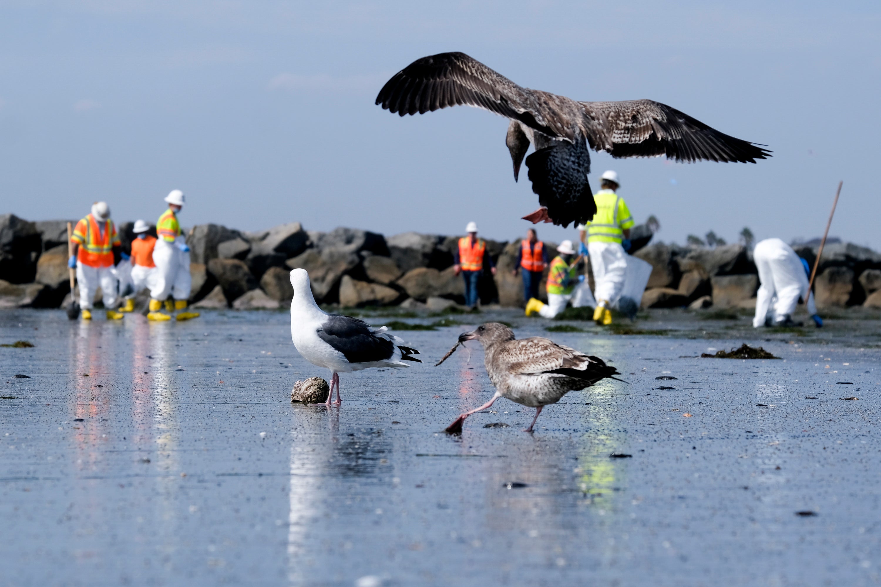 APTOPIX California Oil Spill