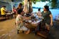 Flooded restaurant becomes surprise tourist attraction as fish swim around diners