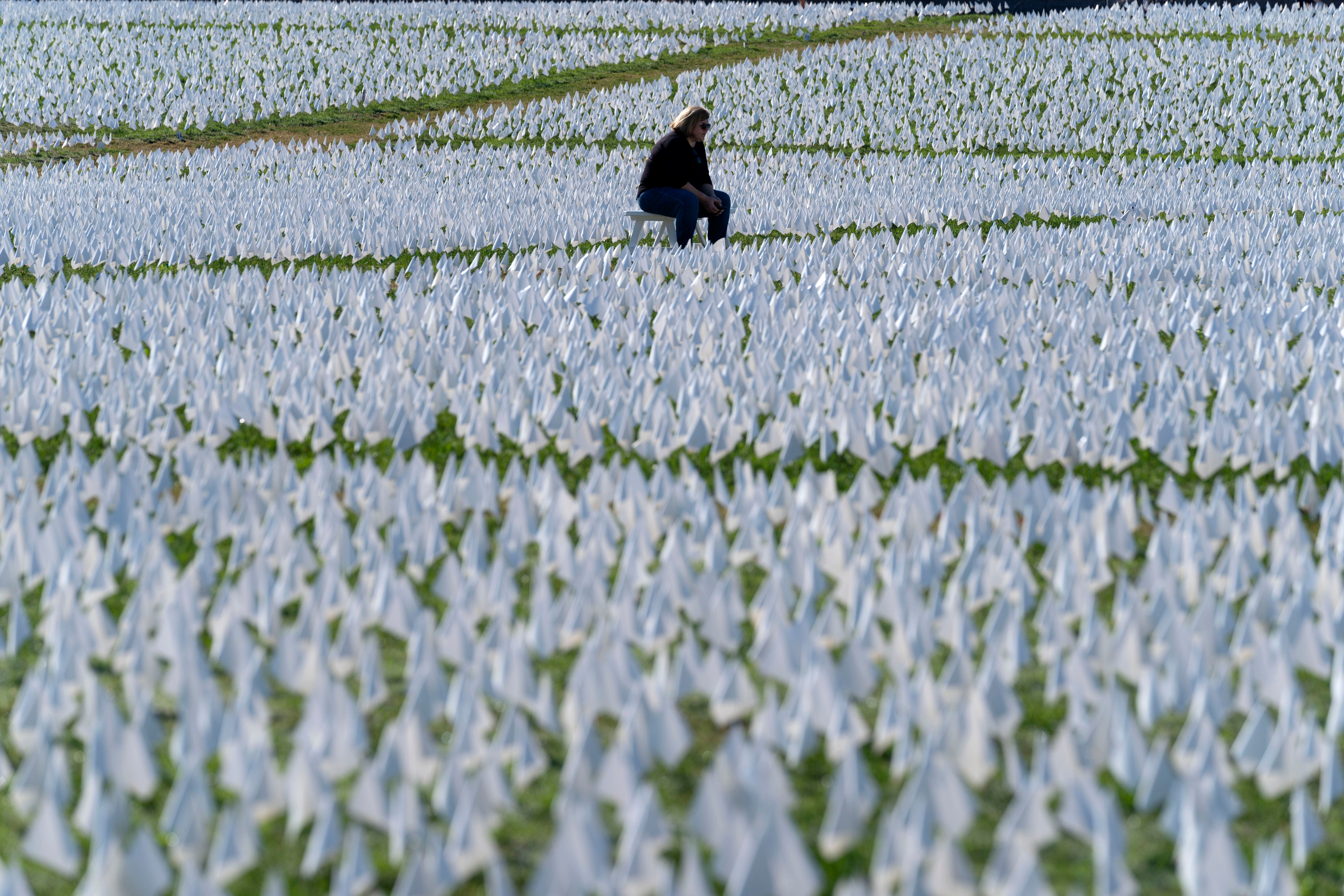 An art installation of white flags on the National Mall memorialises thousands of Americans who have died of Covid-19.