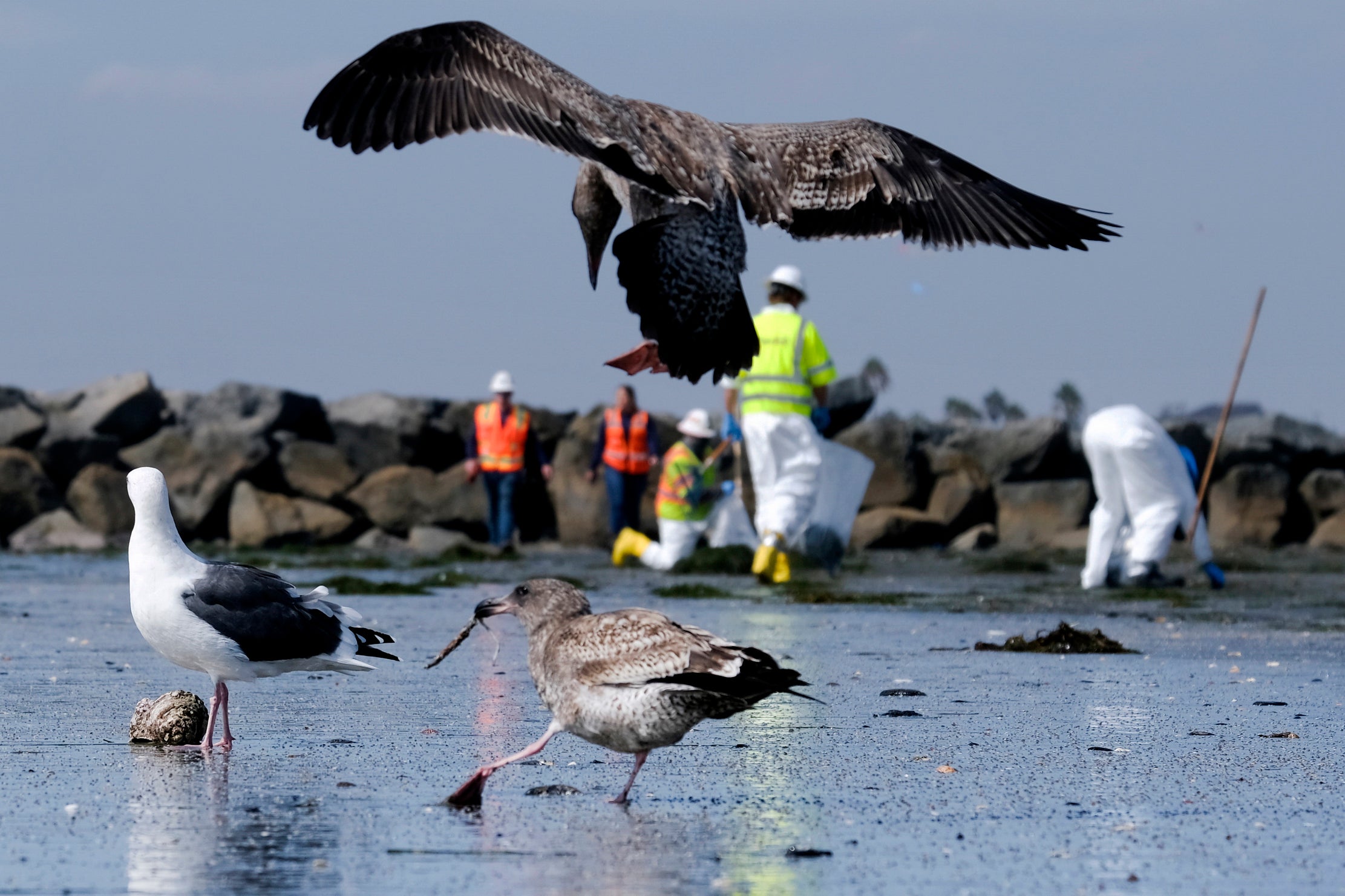 Pictures of the Week-North America-Photo Gallery