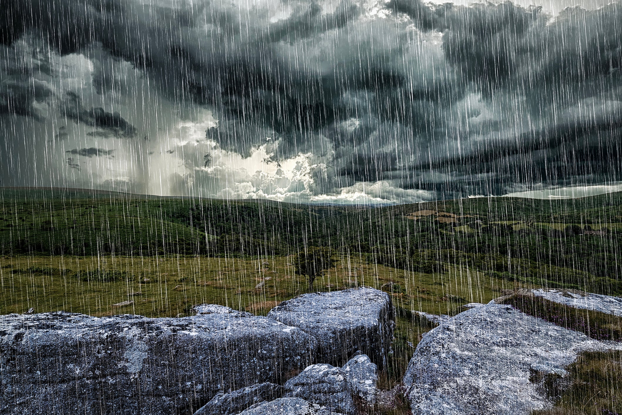 When bad conditions set in on Dartmoor, you need a good guide