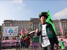 Chris Packham leads march at Buckingham Palace urging royal family to rewild estates