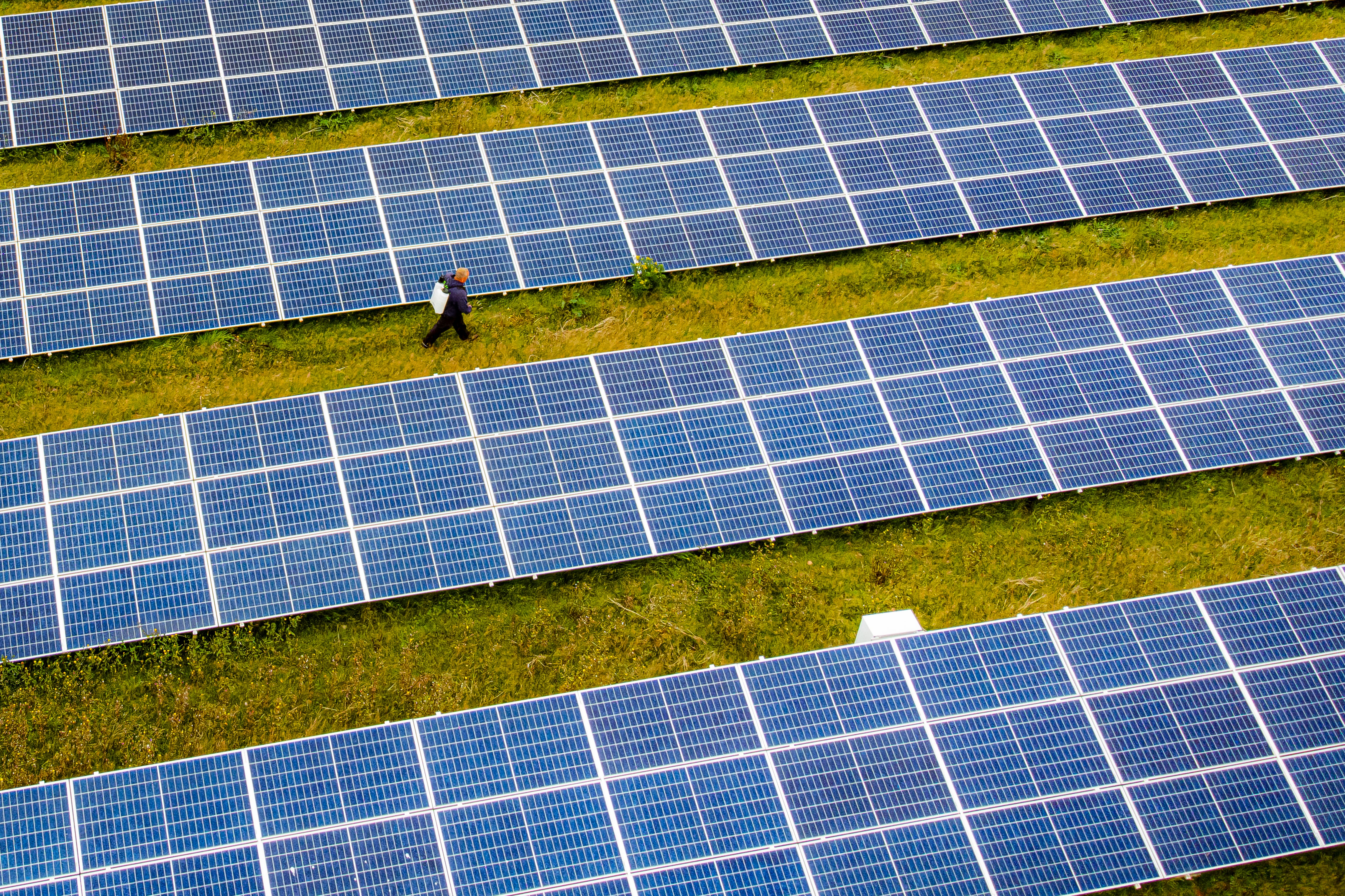 Global leaders are set to meet in Glasgow for a climate change conference next month. (Ben Birchall/PA)