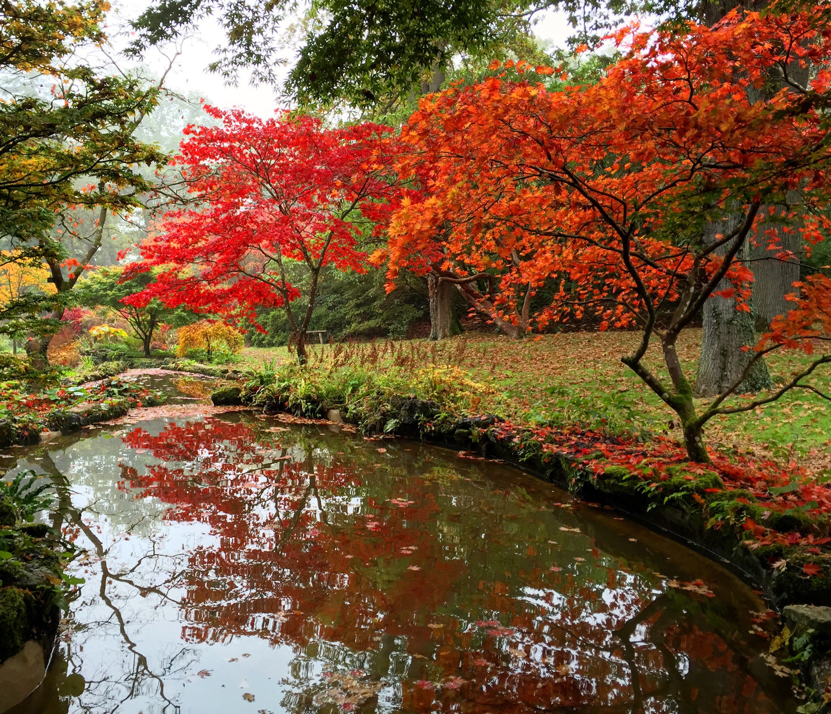 Exbury Gardens in autumn (Marie-Louise Agius/PA)