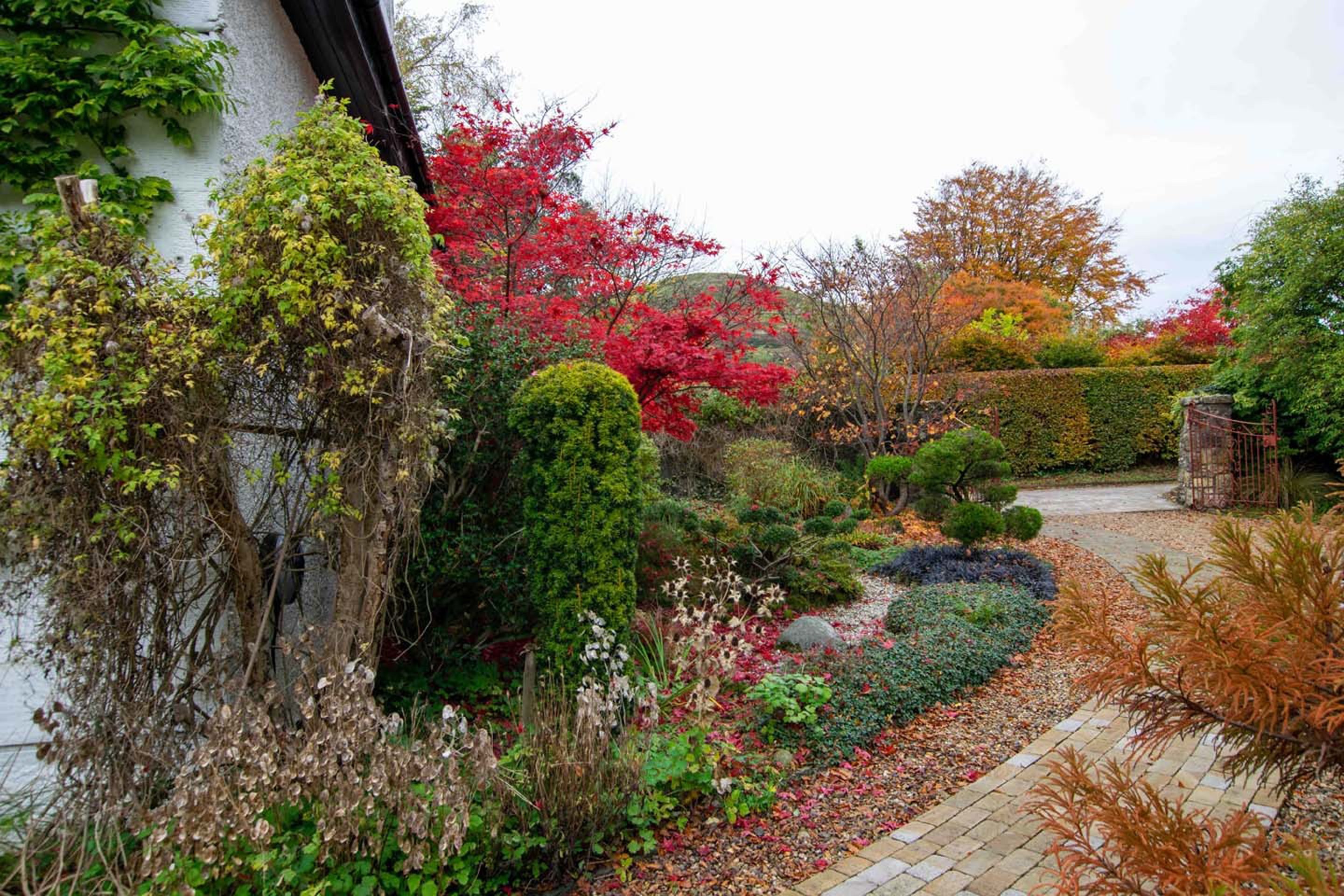 Hollytree Lodge (Camelia Hudema/PA)