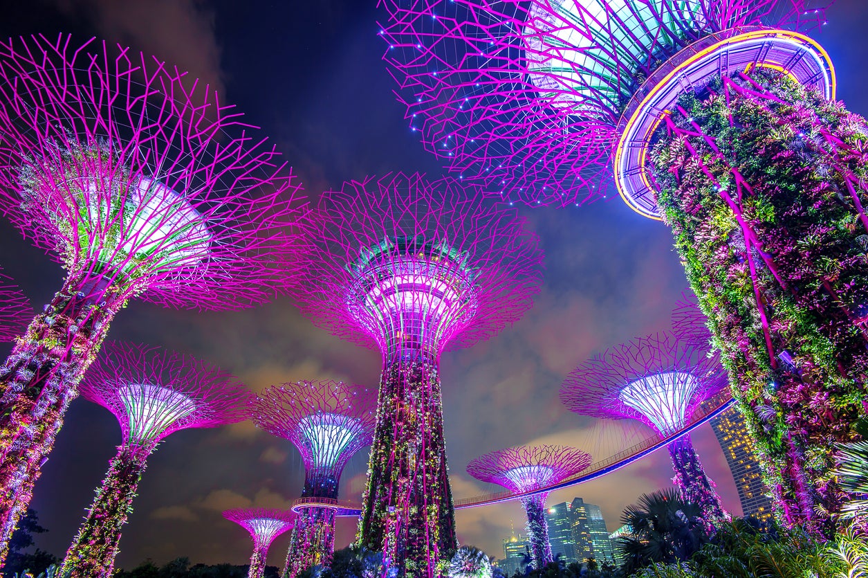 Singapore’s Supertree Grove