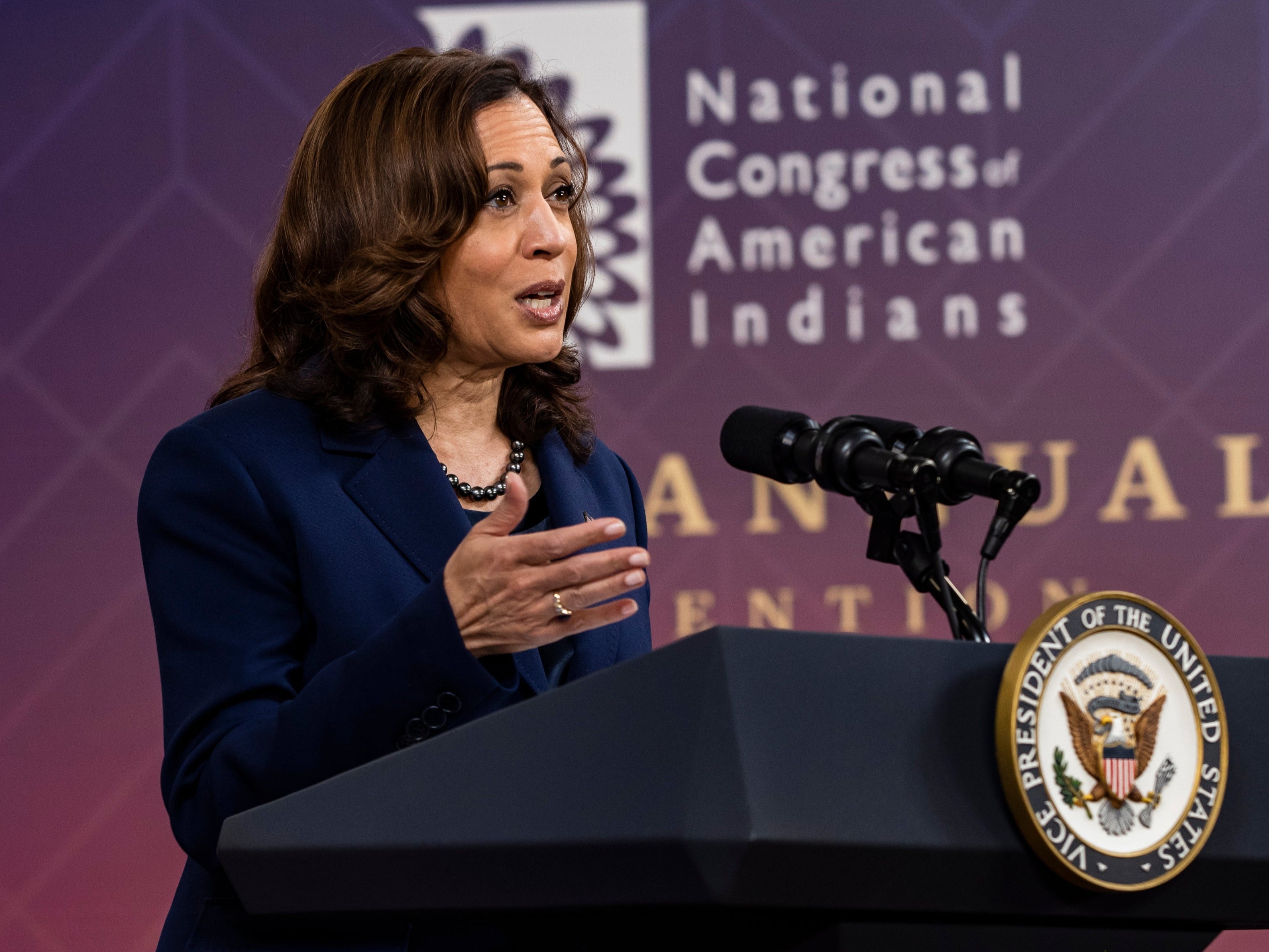 Harris says US must face up to its ‘shameful past’ with tribal nations
