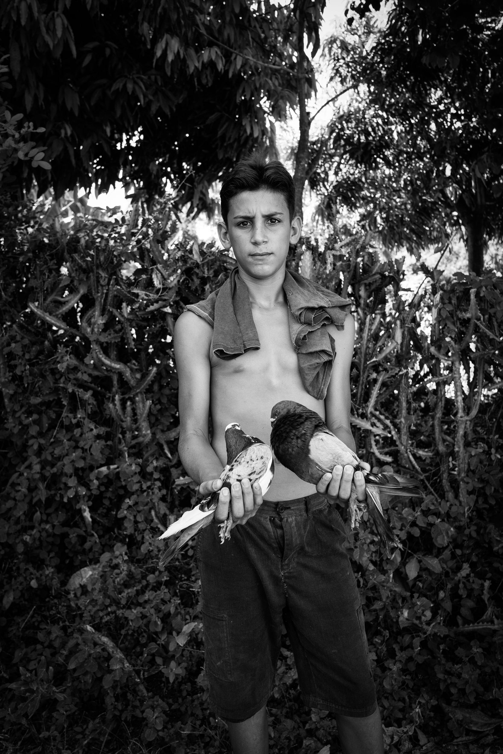 Boy with Racing Pigeons. Village of La Perla, Cuba. July 2019