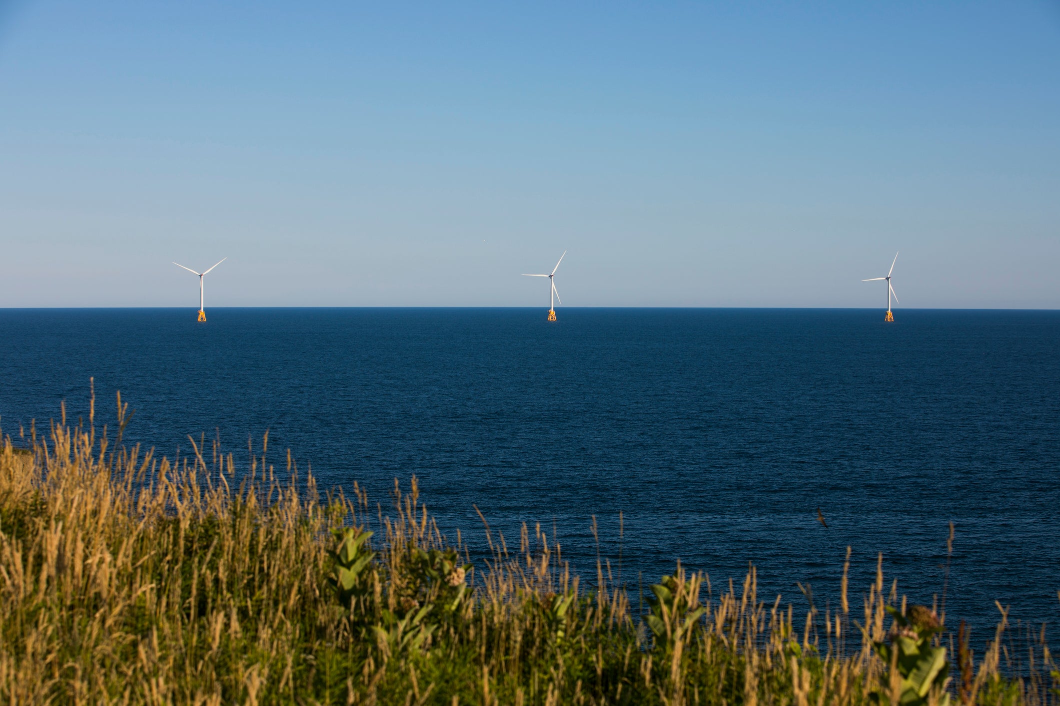 Biden administration announces huge expansion of wind farms along almost all of US coastline