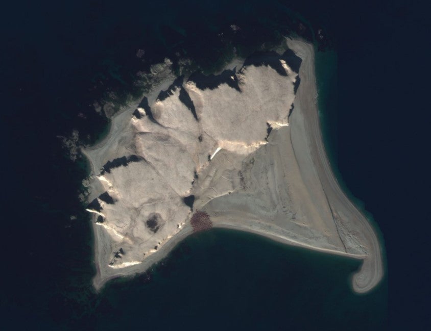 Satellite image of an Atlantic walrus haul-out