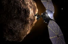 Lucy in the sky: Spacecraft will visit record 8 asteroids