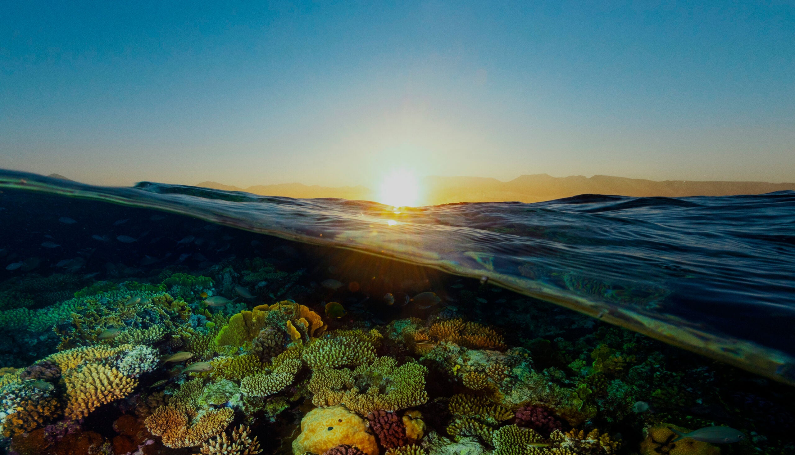 Saudi Green Initiative: A new era of climate action