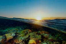 Saudi Green Initiative: A new era of climate action